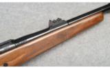 CZ 550 Safari Magnum Left Hand, .505 Gibbs - 6 of 9