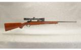 Ruger M77R
7x57 - 1 of 9