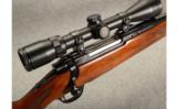 Ruger M77R
7x57 - 5 of 9