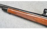 Remington Model 700, .22-250 Rem. - 8 of 9