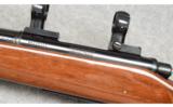 Remington Model 700, .22-250 Rem. - 4 of 9