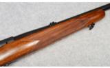 Winchester Model 70, .22 Hornet - 6 of 9
