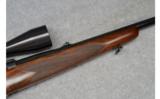 Winchester Model 70 with Bausch & Lomb Scope, .243 Win. - 6 of 9