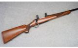 Ruger M77, .22-250 - 1 of 9