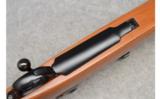 Ruger M77, 7x57 - 3 of 9