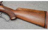 Winchester Model 71, .348 W.C.F. - 7 of 9