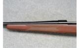 Winchester Model 70 Sporter 25-06 - 8 of 9