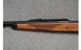 Ruger Magnum .458 Lott - 8 of 9