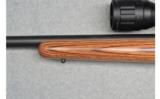 Remington 504T .17 HMR - 7 of 8