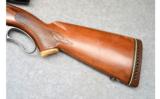 Winchester Model 88 with Bushnell Scope, .308 Win. - 7 of 9