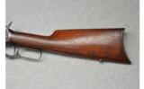 Winchester 1892 .25-202win - 5 of 8