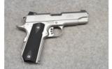 Ed Brown ~ Alpha Carry ~ .45 ACP - 1 of 2