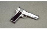 Colt ~ Special Combat ~ .45 ACP - 1 of 2
