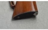 Winchester ~ Model 70 ~ .22 Hornet - 6 of 9