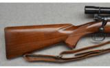 Winchester ~ Model 70 ~ .22 Hornet - 2 of 9