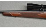 Colt Sauer ~ Sporting Rifle ~ .300 Wby Mag - 8 of 9