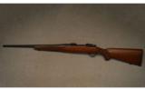 Ruger ~ M77 Hawkeye ~ .223 Rem - 6 of 9