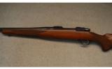 Ruger ~ M77 Hawkeye ~ .223 Rem - 8 of 9
