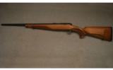 Steyr Arms ~ ZRII ~ .17 HMR - 5 of 9