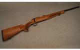 Steyr Arms ~ ZRII ~ .17 HMR - 1 of 9