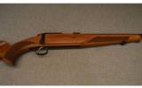 Steyr Arms ~ ZRII ~ .17 HMR - 3 of 9