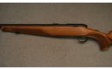 Steyr Arms ~ ZRII ~ .17 HMR - 7 of 9