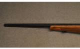 Steyr Arms ~ ZRII ~ .17 HMR - 8 of 9