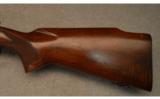 Winchester ~ Model 70 Pre-64 Varmint ~ .243 Winchester - 6 of 8