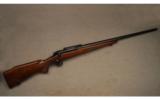 Winchester ~ Model 70 Pre-64 Varmint ~ .243 Winchester - 1 of 8