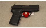 Sig Sauer ~ P239 ~ .40 S&W - 1 of 2