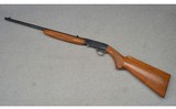 Browning ~ SA-22 ~ .22 Long Rifle - 6 of 11