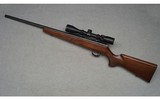 Anschutz ~ 1517 ~ .17HMR - 5 of 8