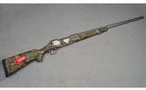 Savage ~ 116 ~ .375 Ruger - 1 of 10