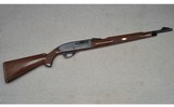 Remington ~ Nylon 66 ~ .22 Long Rifle - 1 of 8