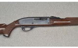 Remington ~ Nylon 66 ~ .22 Long Rifle - 3 of 8