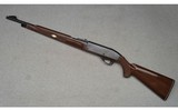 Remington ~ Nylon 66 ~ .22 Long Rifle - 5 of 8