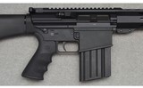 DPMS ~ LR-243 ~ .243 Win - 3 of 7