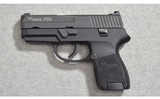 Sig Sauer ~ P250 ~ 9MM Luger - 2 of 8