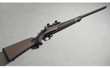 Blaser ~ R8 ~ .300 Winchester - 1 of 14