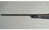 Blaser ~ R8 ~ .300 Winchester - 11 of 14