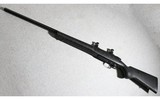 CZ ~ 550 ~ .22-250 Remington - 8 of 13