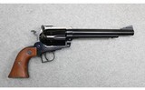 Ruger ~ New Model Blackhawk ~ .357 Maximum - 1 of 6