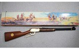 Winchester ~ 9422 Cheyenne Commemorative ~ .22 Cal - 8 of 8