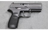 Sig Sauer ~ P320 ~ .45 ACP - 1 of 2