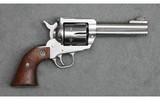 Ruger ~ New Model Blackhawk ~ .357 Magnum