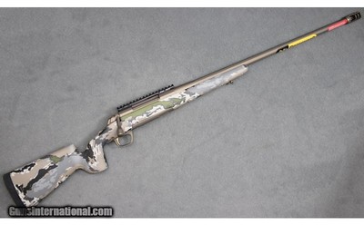 Browning ~ X-Bolt Hell's Canyon McMillan LR ~ .300 Winchester Magnum