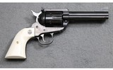 Ruger ~ New Model Blackhawk ~ .45 Auto