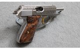 Walther ~ PPK/S Exquisite ~ .380 Auto - 3 of 3