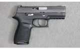Sig Sauer ~ P320 Compact ~ 9mm Luger