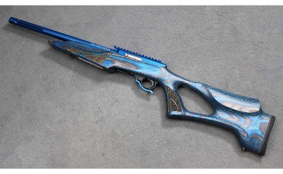 Tactical Solutions ~ X-Ring VR ~ .22 Long Rifle